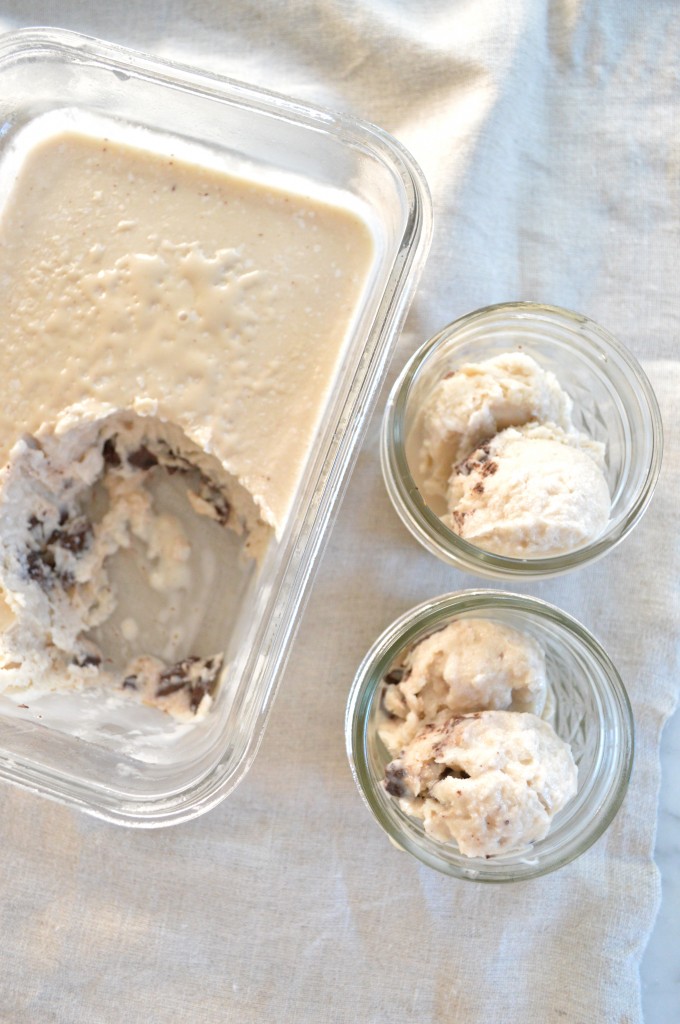 Mint Chocolate Chip Coconut Milk Ice Cream // simply real health // gluten free + dairy free