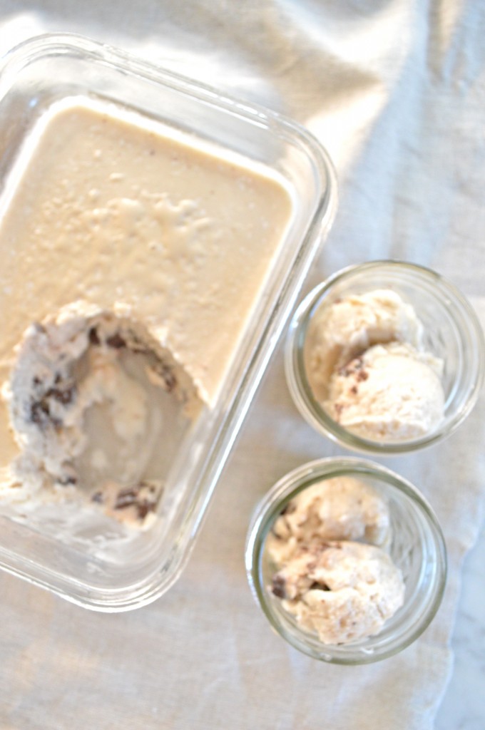 Mint Chocolate Chip Coconut Milk Ice Cream // simply real health // gluten free + dairy free