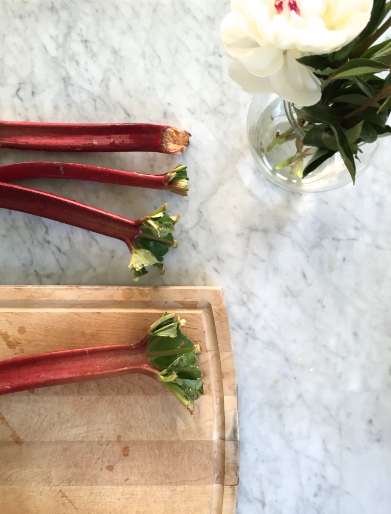 Rhubarb Sage Syrup // Cocktails via Simply Real Health + www.simplyrealhealth.com SO SO good to have on hand for any cocktail/mocktail this summer season!