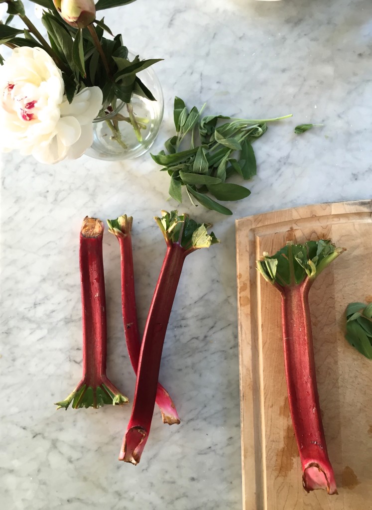 Rhubarb Sage Syrup // Cocktails via Simply Real Health + www.simplyrealhealth.com SO SO good to have on hand for any cocktail/mocktail this summer season!