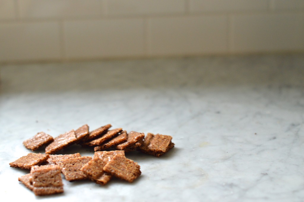 Gluten free graham crackers with just 4 easy ingredients! OMG I can't stop making these!