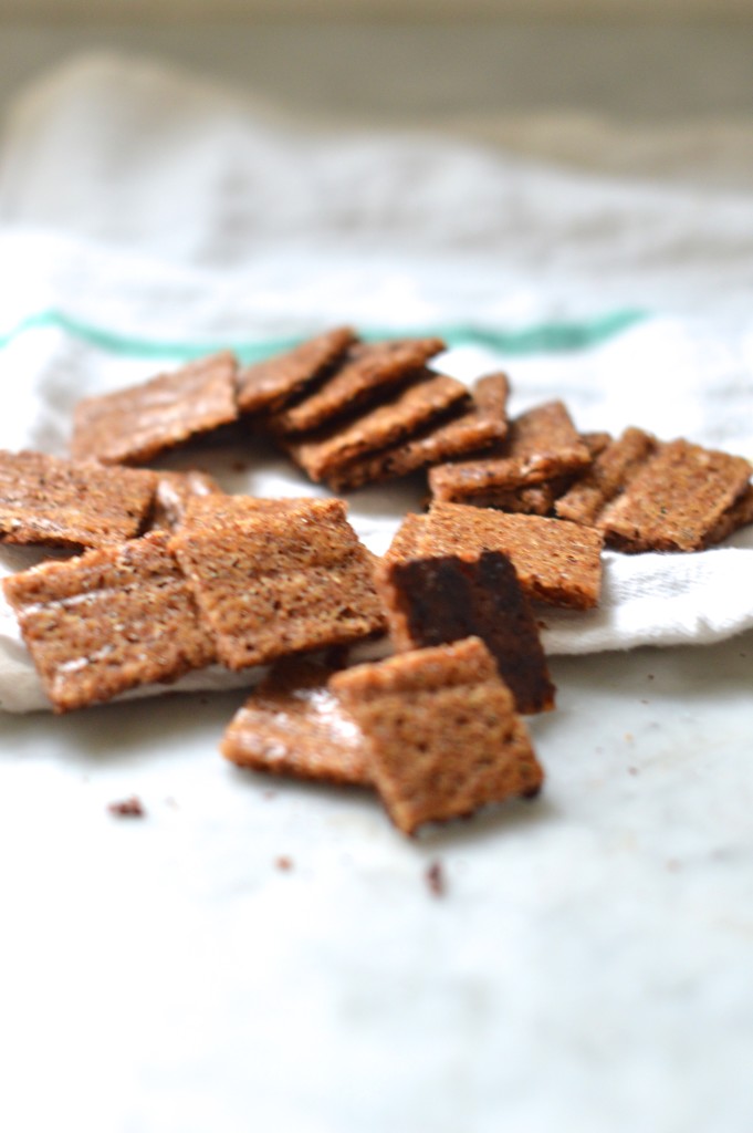 Gluten free graham crackers with just 4 easy ingredients! OMG I can't stop making these!