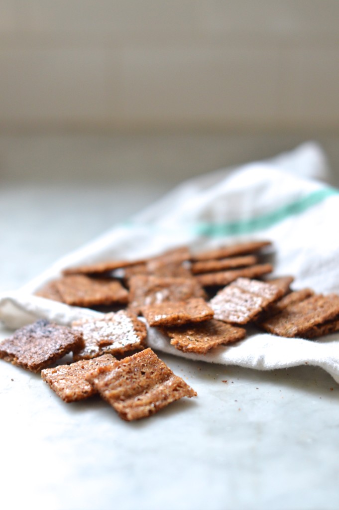 Gluten free graham crackers with just 4 easy ingredients! OMG I can't stop making these!