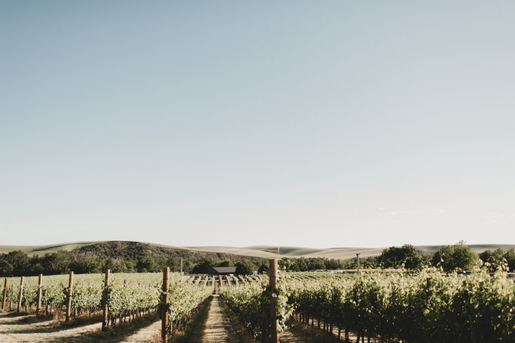 The Simply Real Health Walla Walla Travel Guide: the best wineries, restaurants + pitstops via @simplyrealhealth