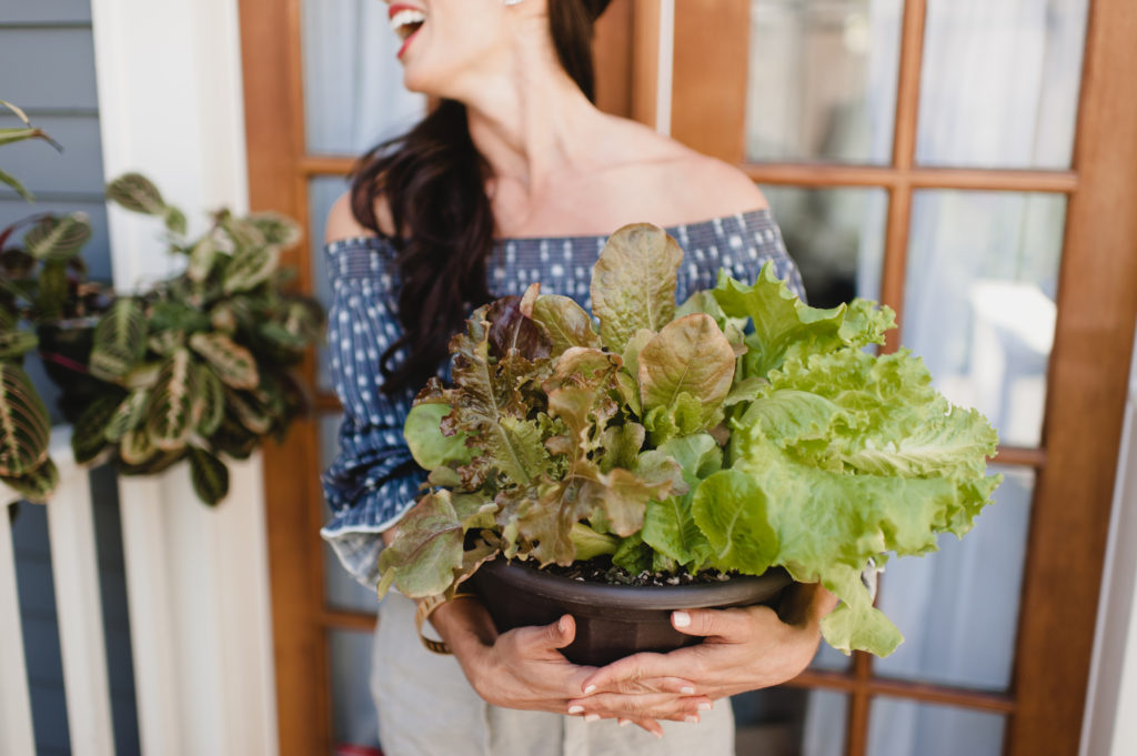 Simply Real Health Food Academy via @simplyrealhealth